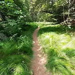 Alpenpanorama * לופינגן