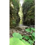 Alpenpanorama לופינגן