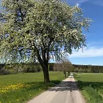 Alpenpanorama *
