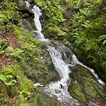 Alpenpanorama דירה *