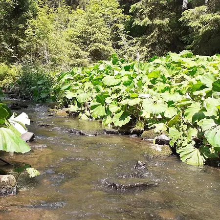 Alpenpanorama Apartamento