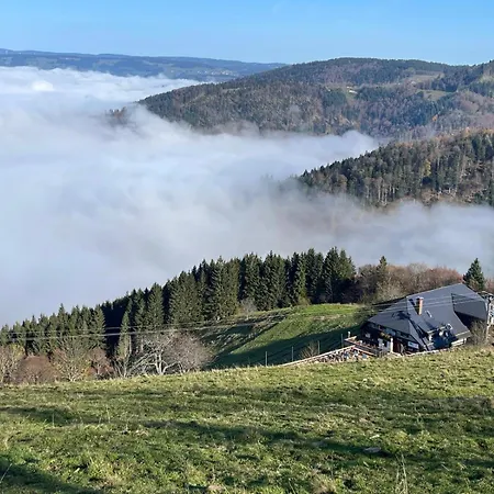 Alpenpanorama Daire