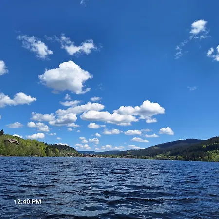 Daire Alpenpanorama