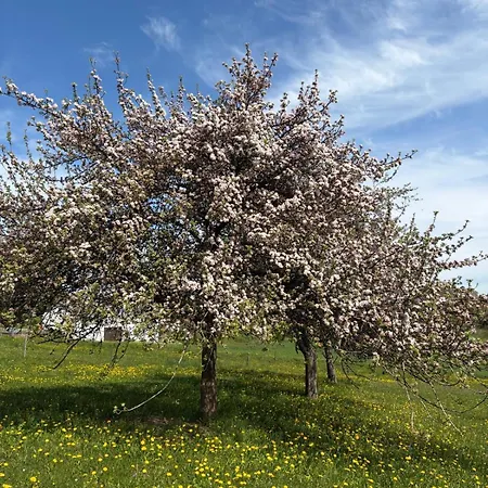Daire Alpenpanorama *