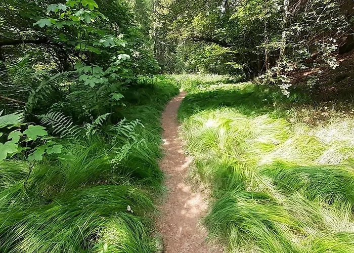 Alpenpanorama * Löffingen