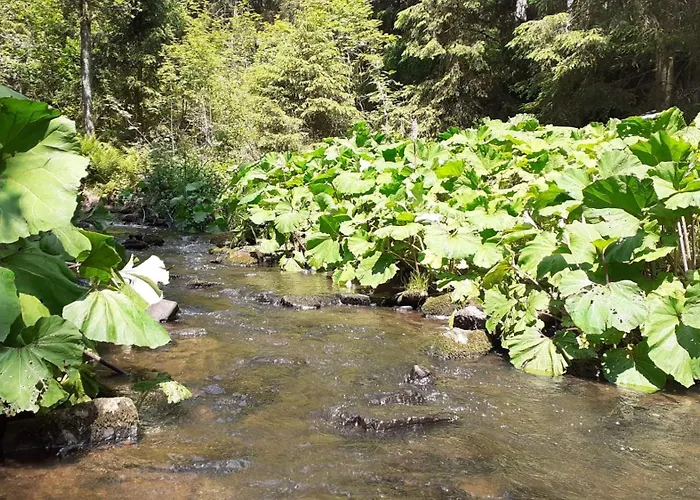 Alpenpanorama Appartement
